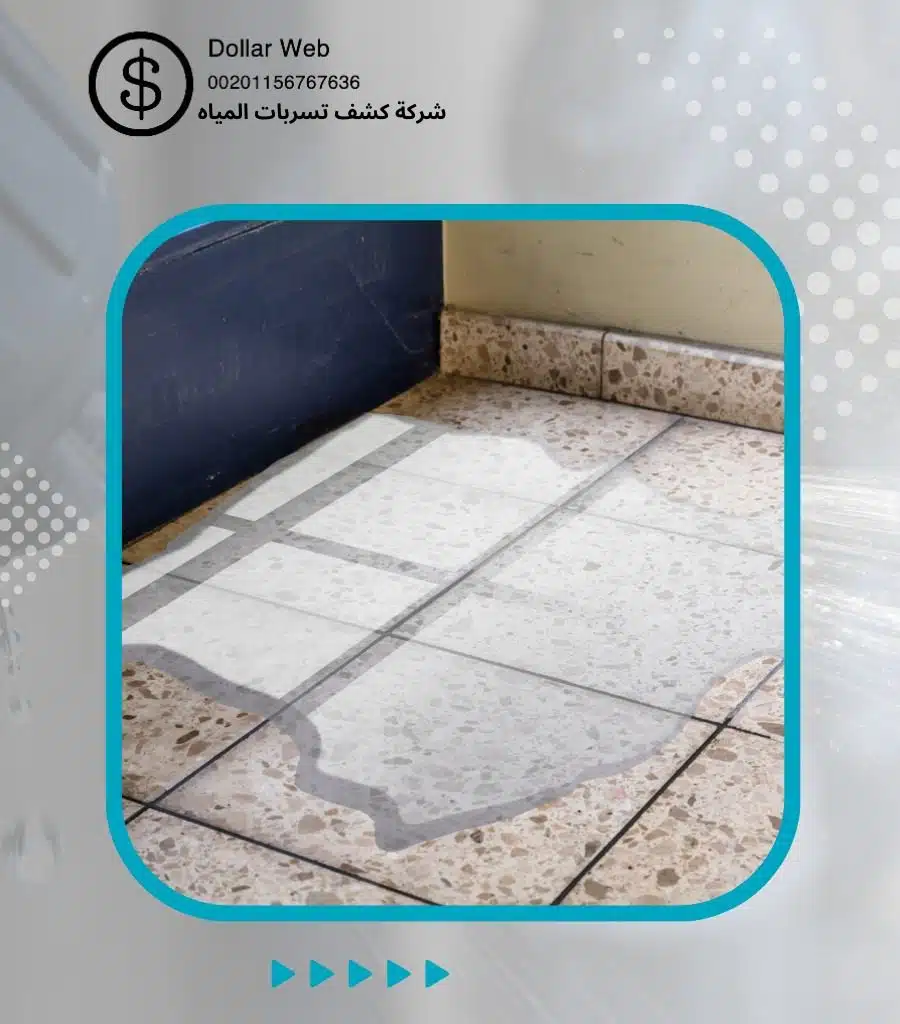 كشف تسربات المياه الفيحاء بجدة